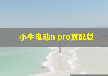 小牛电动n pro顶配版